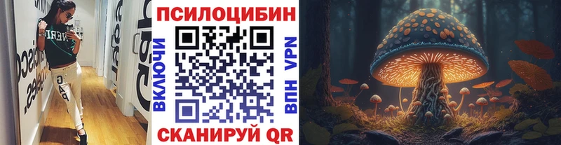 Псилоцибиновые грибы мицелий  omg вход  Иланский  где можно купить  